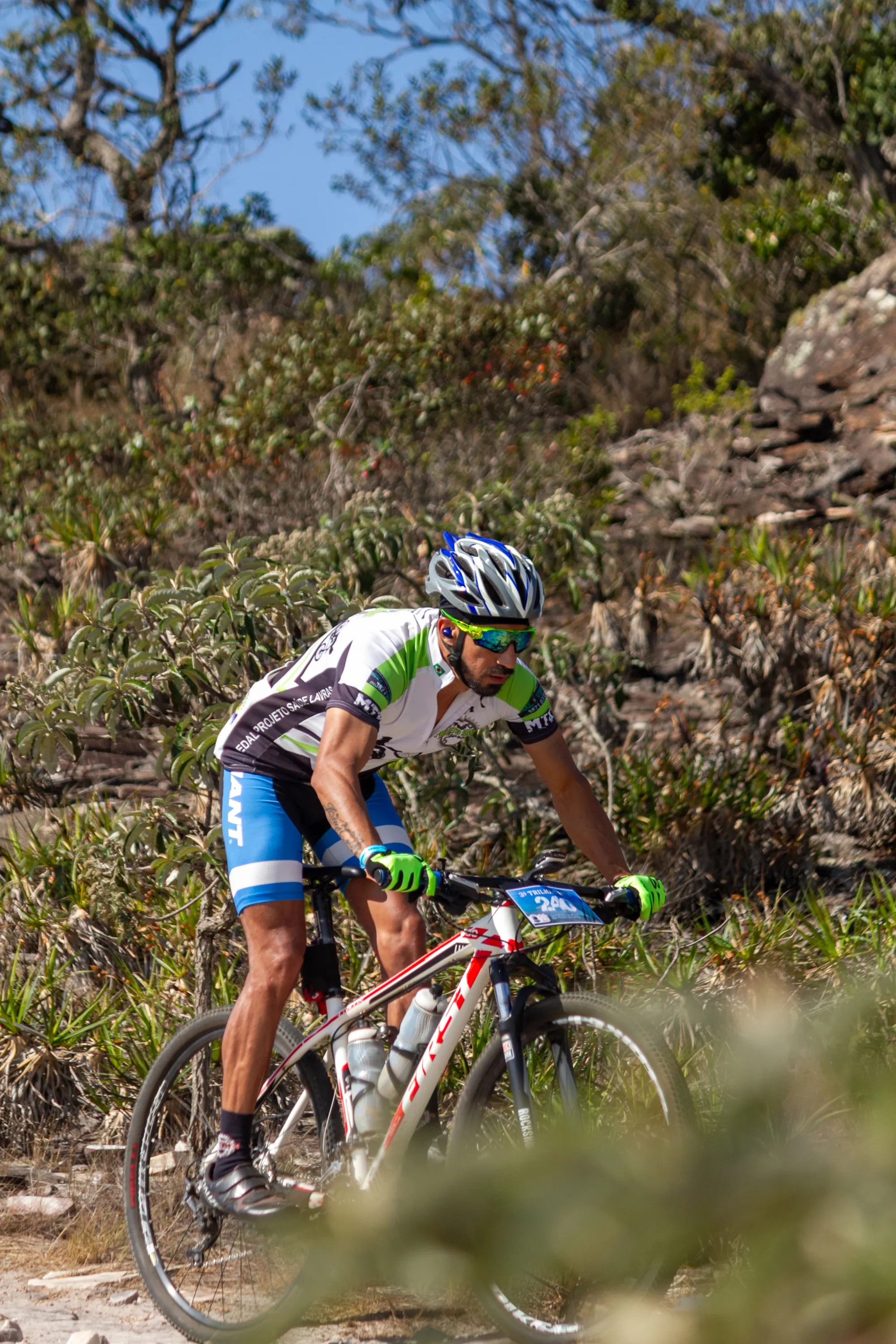 Ciclista em descida técnica com vegetação de cerrado ao fundo